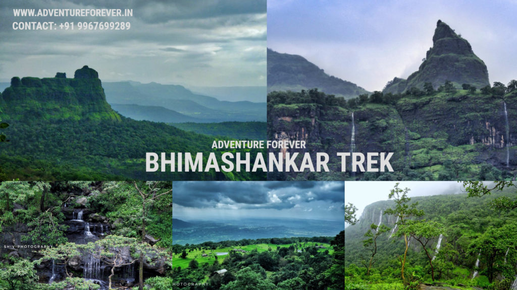 Bhimashankar Trek