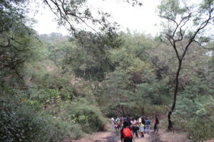 Yeoor Hills trek with Adventure Forever